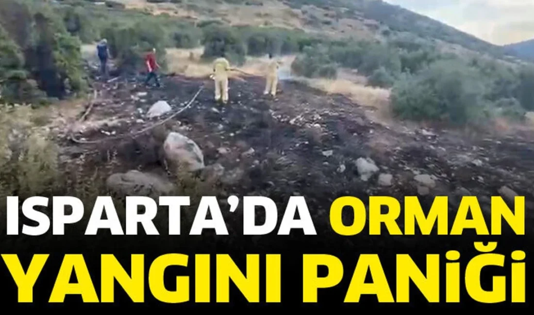 Isparta'da orman yangını kontrol altına alındı