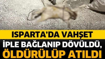 &nbsp; Isparta’da hayvanseverleri ve mahalle sakinlerini öfkelendiren bir olay yaşandı.